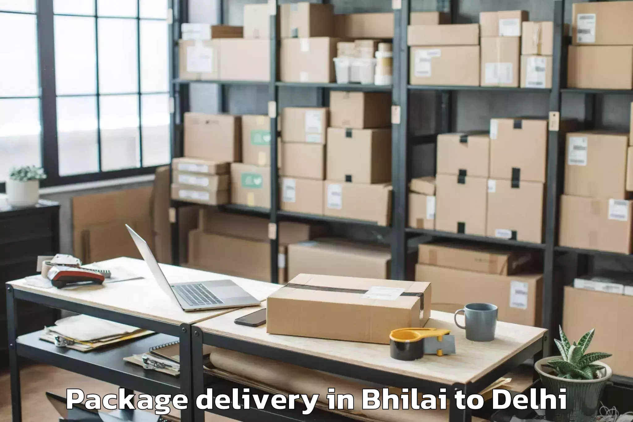 Easy Bhilai to Pitampura Package Delivery Booking